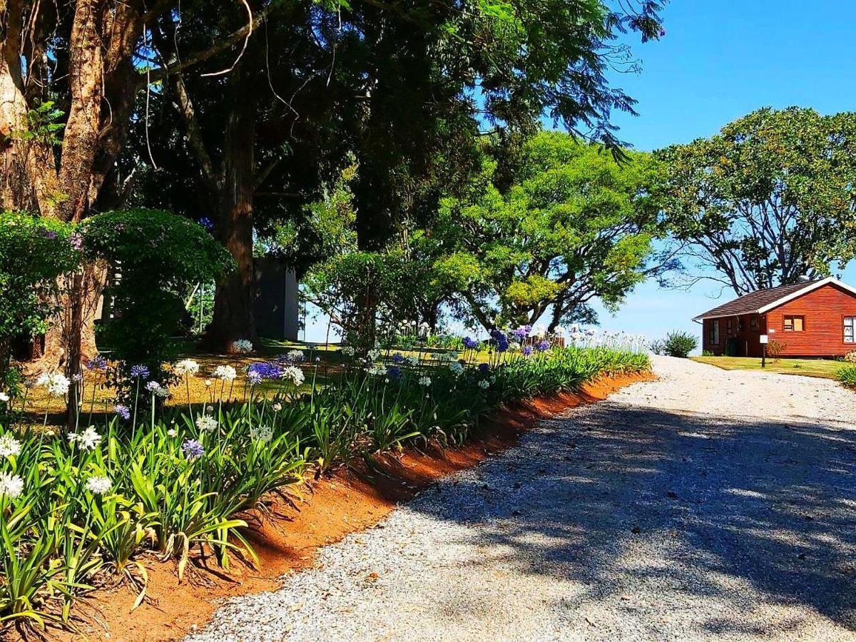 Forest View Cabins Tzaneen Exterior foto