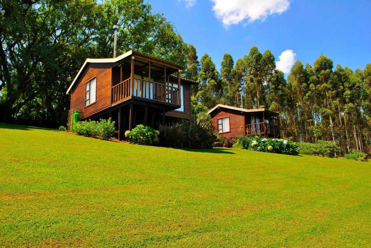Forest View Cabins Tzaneen Exterior foto