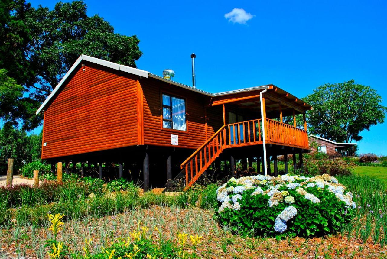 Forest View Cabins Tzaneen Exterior foto